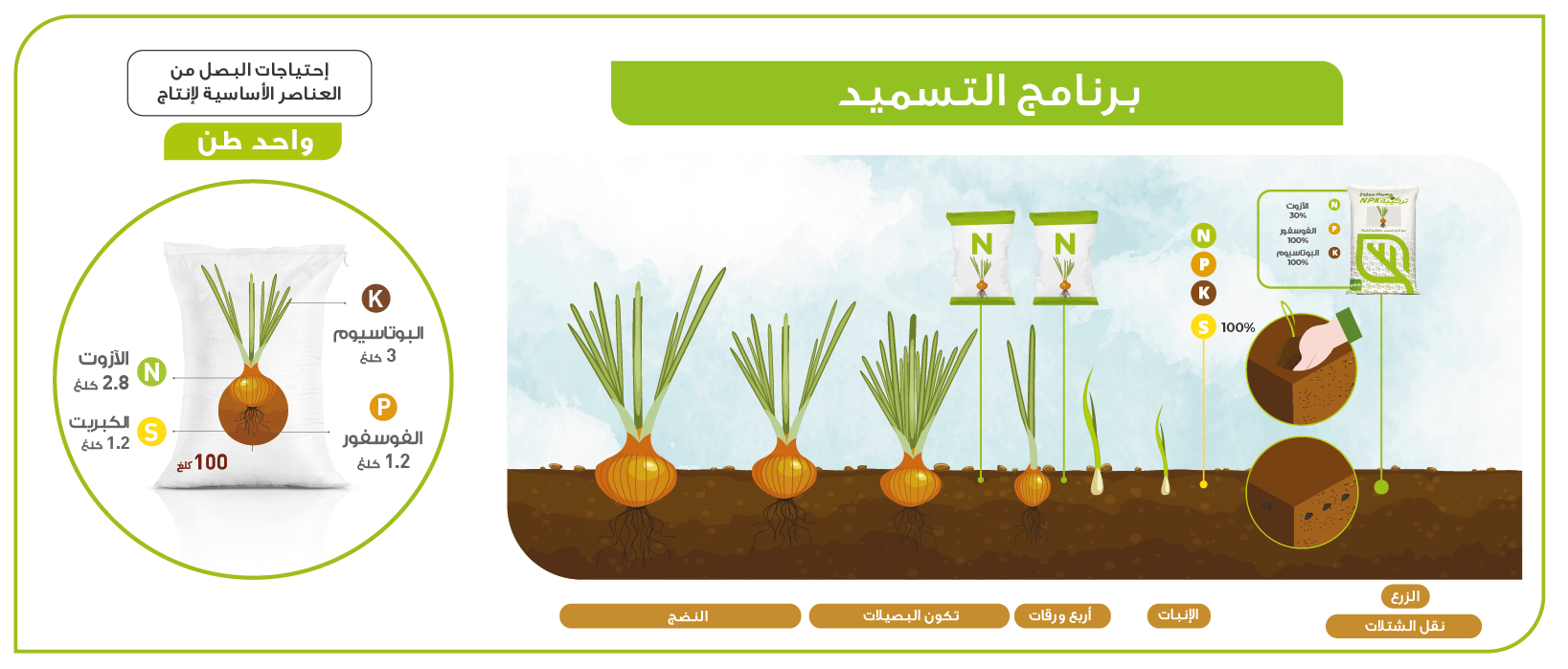 Identification culture