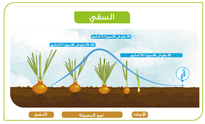 Identification culture