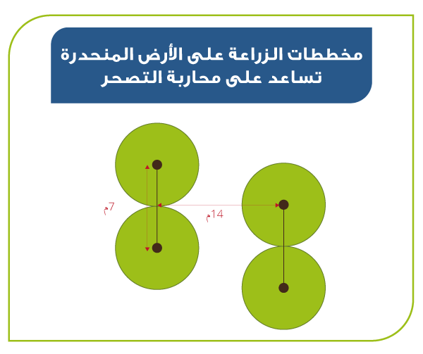 Identification culture