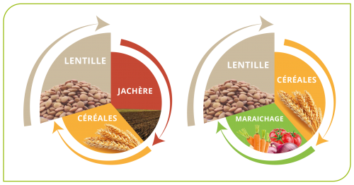 Rotations recommandées